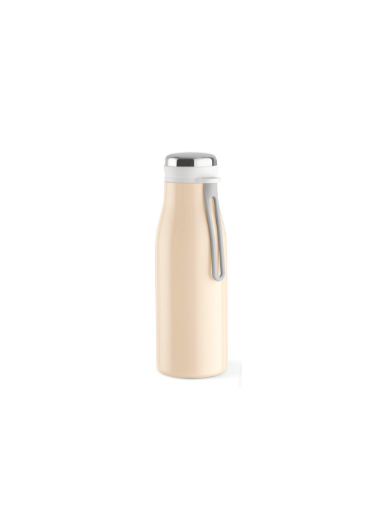 BOUTEILLE ACIER INOXYDABLES 350
