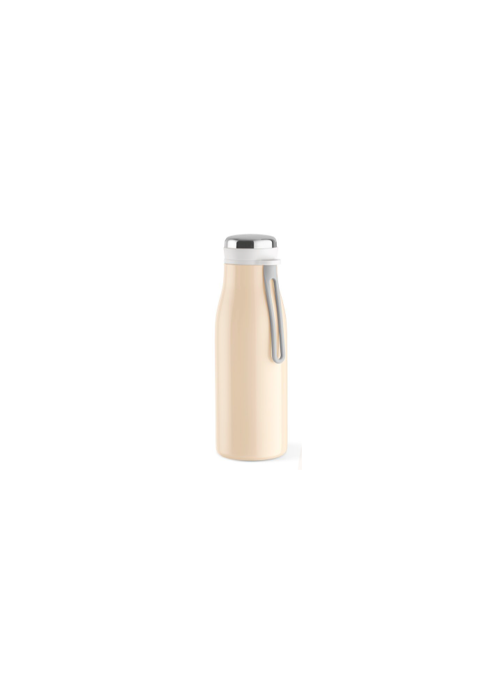 BOUTEILLE ACIER INOXYDABLES 350