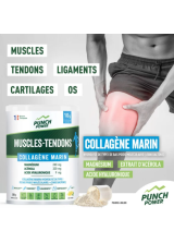 PUNCH POWER MUSCLE TENDON COLLAGENE