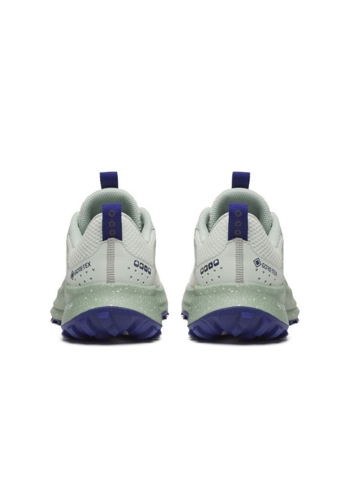 SAUCONY RIDE TR 2 GTX W