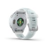 GARMIN Forerunner 570 - 42mm