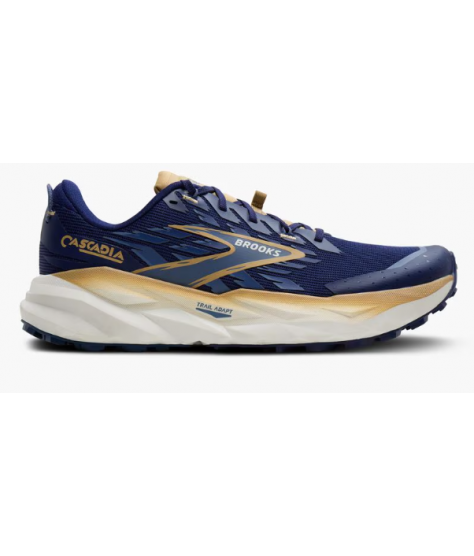 copy of BROOKS CASCADIA 19 M