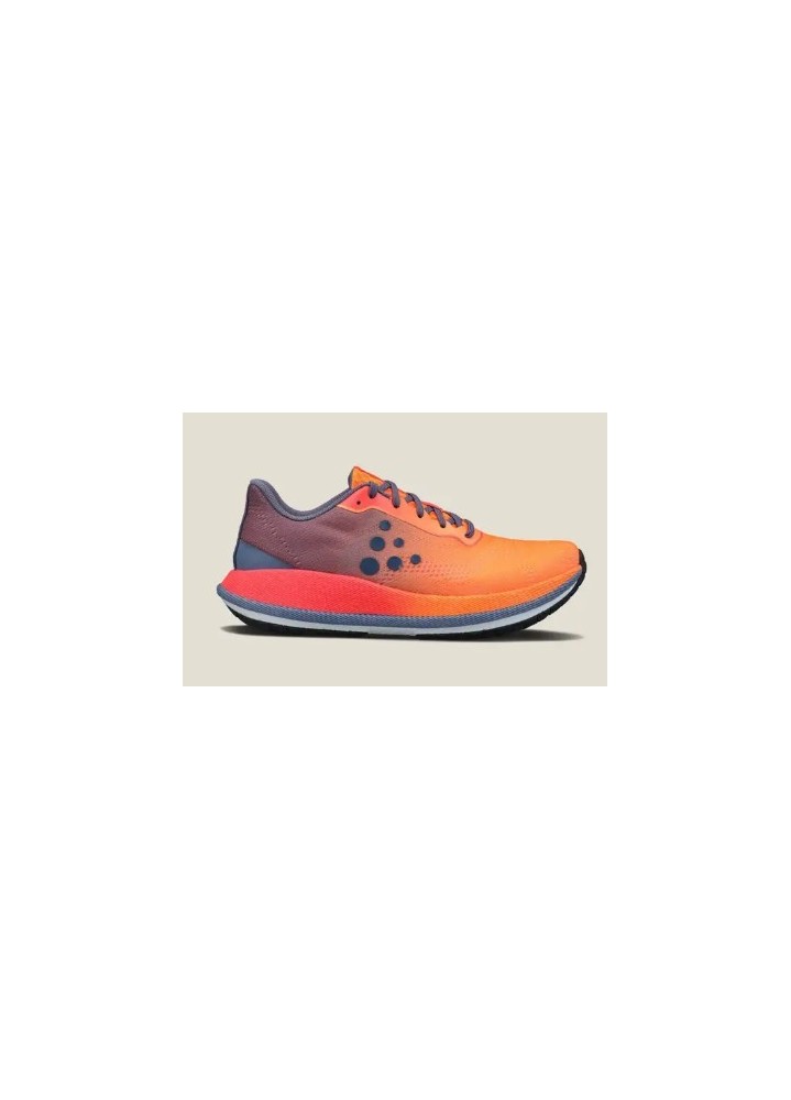 CRAFT PACER 2 M