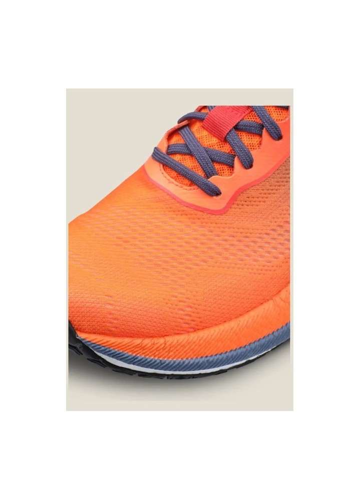 CRAFT PACER 2 M