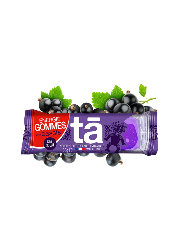 TA ENERGY GOMMES ENERGIE