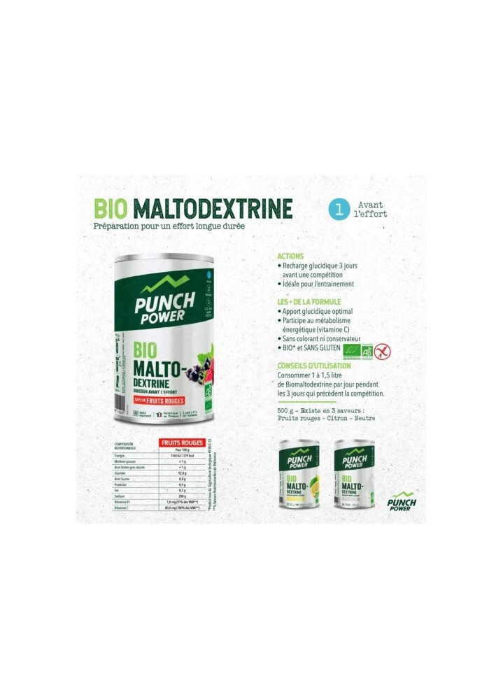 PUNCH POWER BIO MALTO-DEXTRINE CITRON