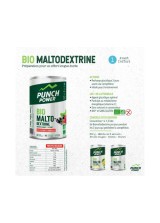 PUNCH POWER BIO MALTO-DEXTRINE CITRON