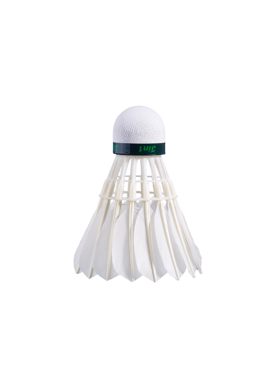 BABOLAT HYBRID CHALLENGE X 12