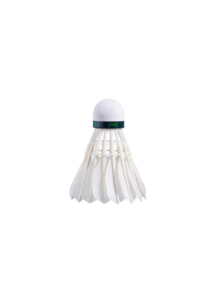 BABOLAT HYBRID CHALLENGE X 12