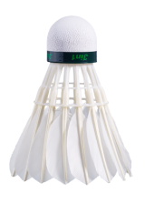 BABOLAT HYBRID CHALLENGE X 12