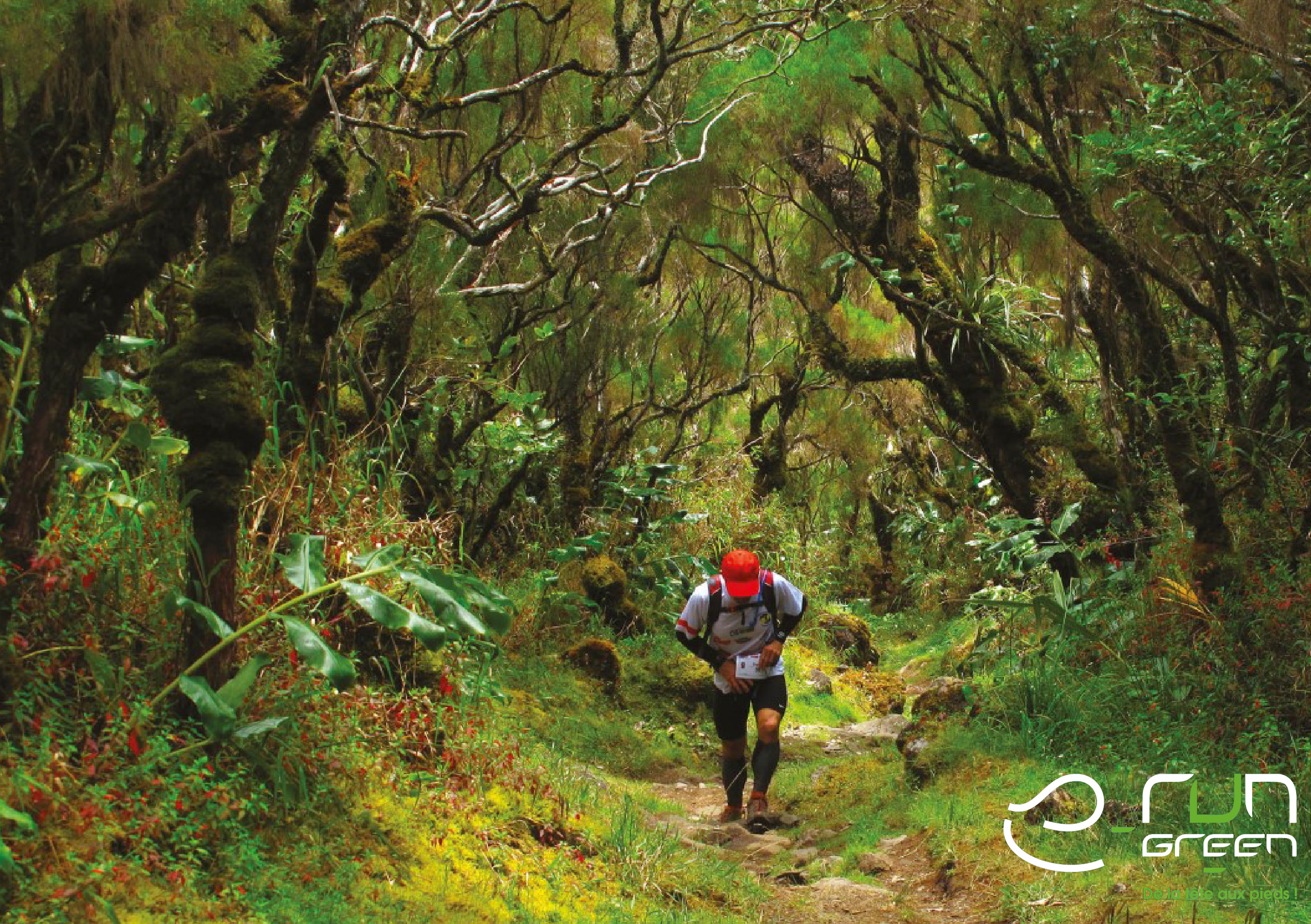 Les Bons Plans du Printemps !